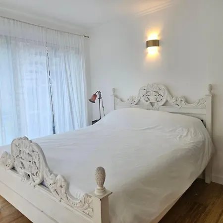 Ninette Avec Rooftop